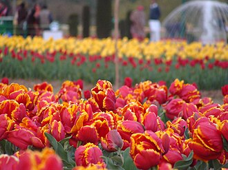 AC Sleeper Full Package — Jammu to Leh Road Trip
